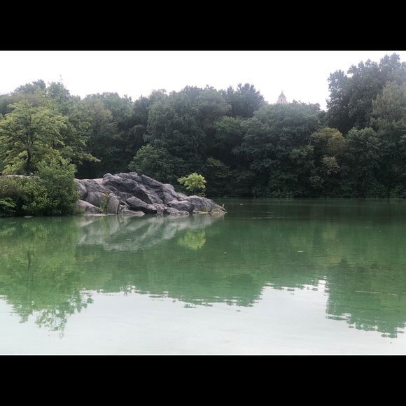 Meet your Posher, Liza - Picture 1 of 1